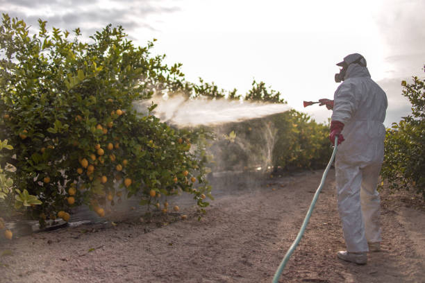 Best Pest Prevention Services  in Newport, WA