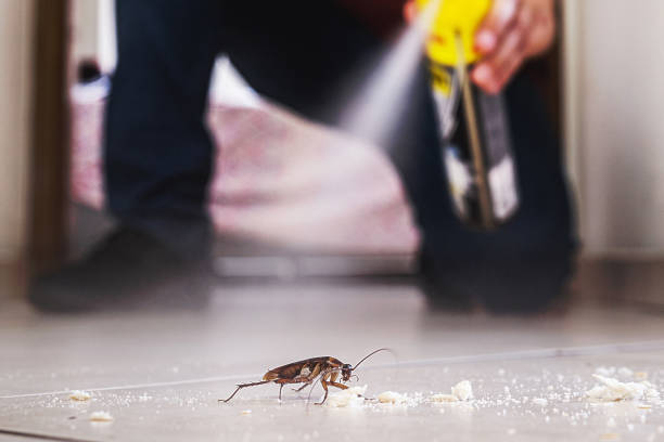 Best Exterminator Services  in Newport, WA
