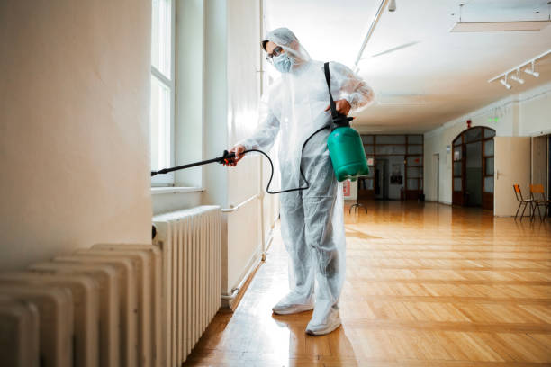 Best Local Pest Control Services  in Newport, WA