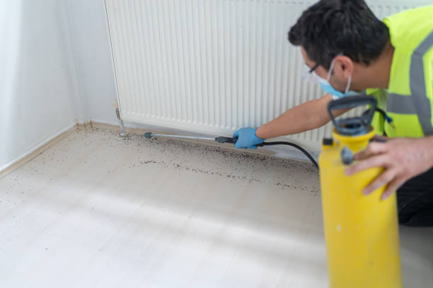 Best Pest Inspection Near Me  in Newport, WA
